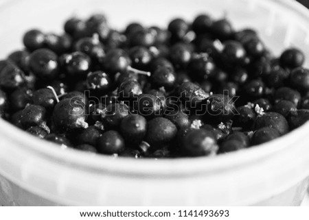 black and white wallpaper of big currant berries in plate isolated in white background. summer harvest concept. smoothie cocktail menu dessert dish ingredient. healthy vegetarian food nutrition 