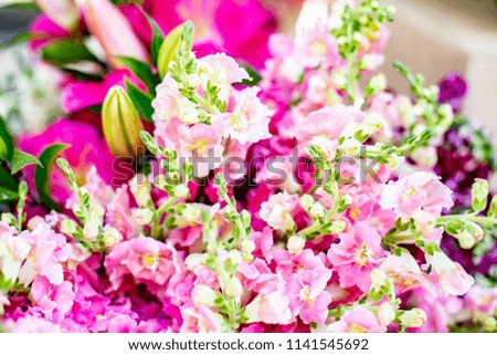 Flowers, closeups, market