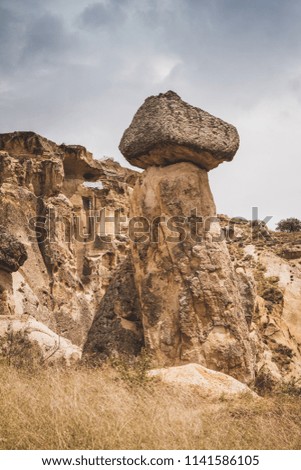 Fairy chimneys, tall, cone-shaped rock formations clustered in Cappadocia.