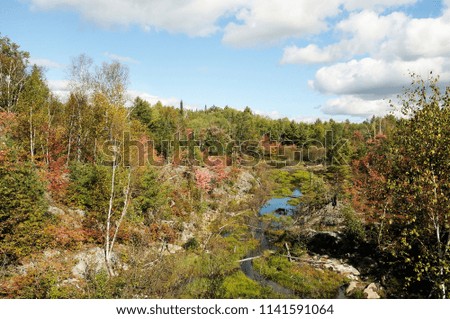 Autumn scenery showing nature scene. 