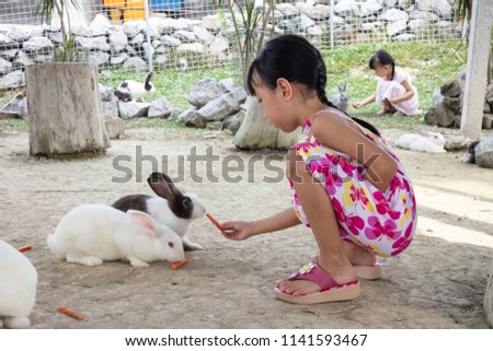 Asian Little Chinese Girl Feeding a Rabbit with Carrot in the Outdoor Farm