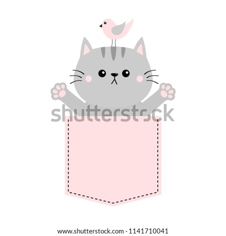 Gray cat, bird in pink pocket. Holding hands up. Give me a hug. Cute cartoon animals. Kitten kitty character. Dash line. Pet animal. White background T-shirt design. Baby collection Flat design 