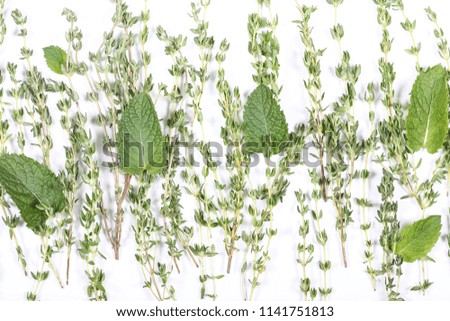 herbs spicy lie on a white background there is a place for writing