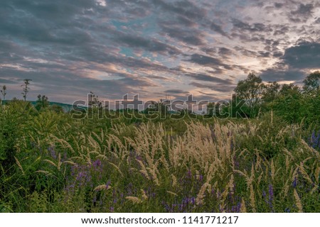 Meadow landscape on a cloudy day 