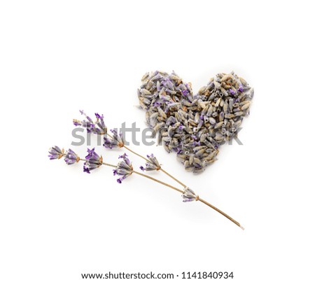 Heart made of beautiful blooming lavender flowers on white background