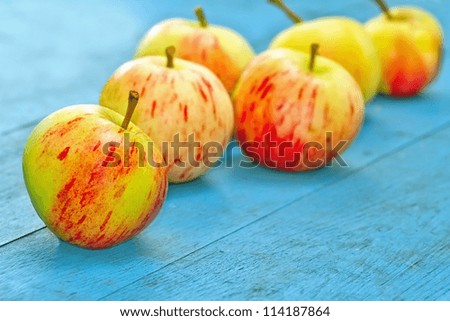 Red autumn apples on blue rustic wooden background