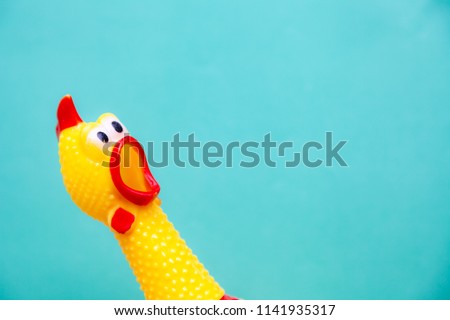 squawking chicken or squeaky toy are shouting and copy space pastel background. Royalty-Free Stock Photo #1141935317