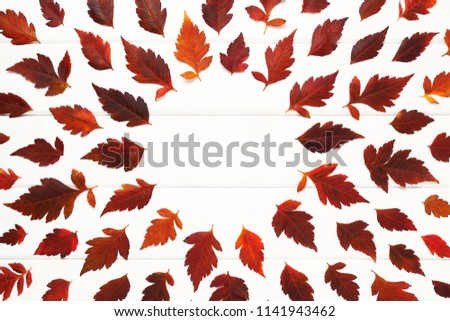 Autumnal frame for your idea. In autumn fallen dry twigs with leaves of yellow, red, orange, aligned on the perimeter of the frame on an old wooden board of a soft white place for your text
