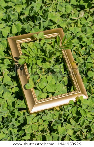 Blank wooden picture  frame ongreen grass background
