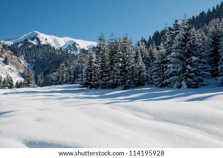 Winter mountain landscape and blue sky
