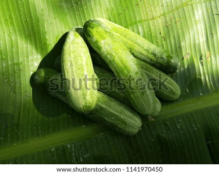 Fresh cucumbers on a banana leaf