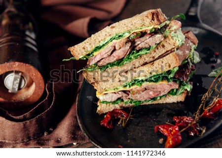 crafted meat sandwich in composition at wood background