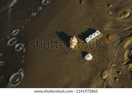 love concept made with dice with letters on the wet sand of a beach and marine motives.