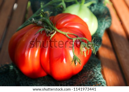 ripe and green tomatoes on a garden table