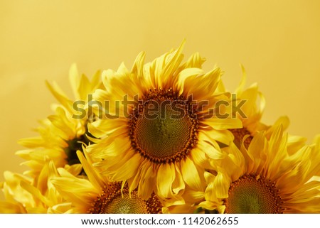 bouquet with beautiful sunflowers, isolated on yellow