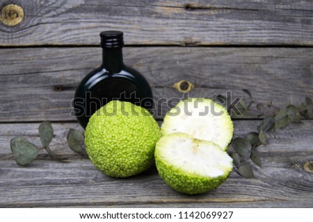 Maclura pomifera fruit as known as osage orange, horse apple, adam's apple and Monkey brain fruit. On wooden background