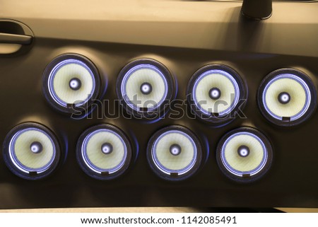 Speaker installed in the car driver's door