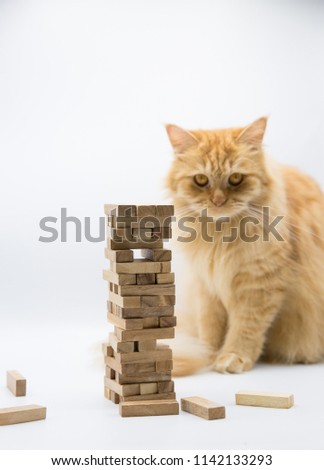 Ginger Cat and Wooden Block Tower