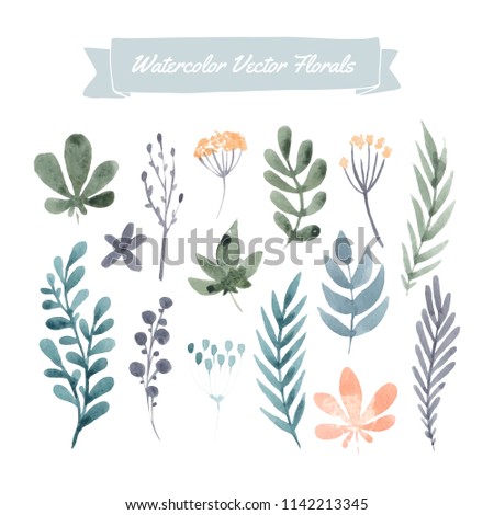 Set of handpainted watercolor vector flowers and leaves.  Perfect floral elements for save the date card. Unique artwork for your design. 
 Royalty-Free Stock Photo #1142213345