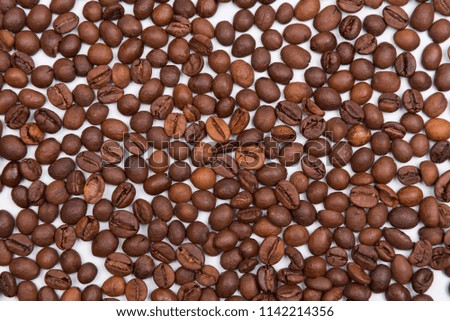 
coffee seeds with colorful backgrounds
