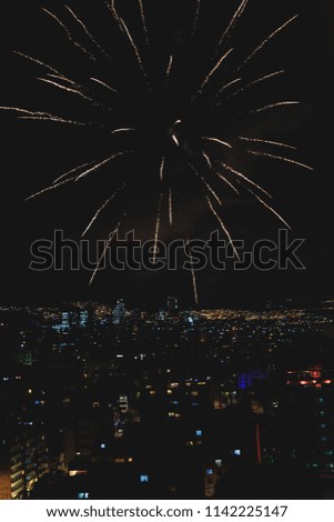 Fireworks over night city
