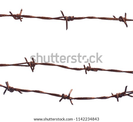 Rusty barbed wire on white background.