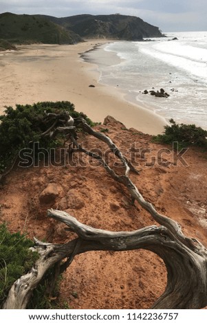 A Vertical of beach in southwest Portugal