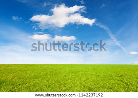 Green meadow under amazing sky