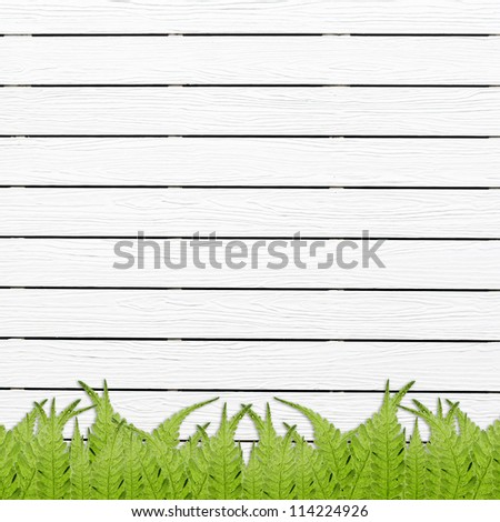 White Wooden background with green grass border