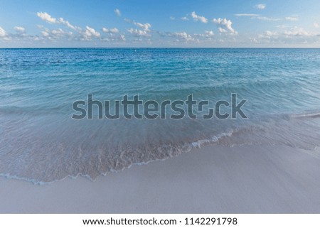 Idyllic Caribbean beach in Playa del Carmen at sunrise, Mexico