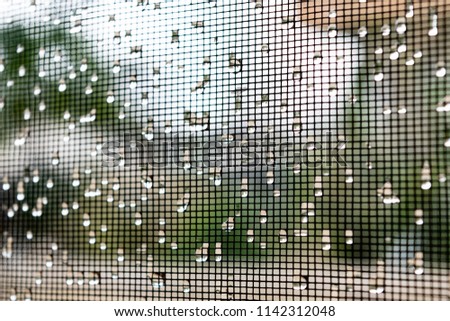 Macro of raindrops on wire mesh netting or mosquito net. Wet mosquito net on the window in rainy weather. Water drops on window net mesh with garden in background