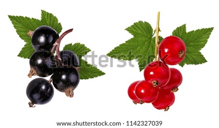black and red currant isolated on white Royalty-Free Stock Photo #1142327039