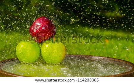 Apples in Water Splashes