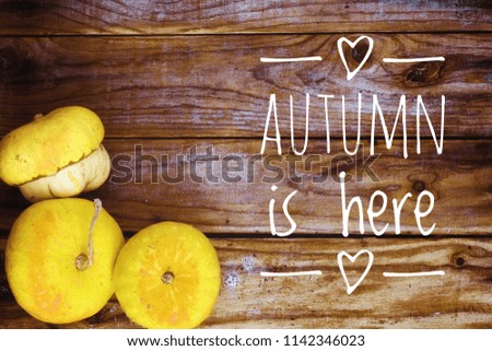 Autumnal background with pumpkins on old wooden table with the text 'autumn is here'