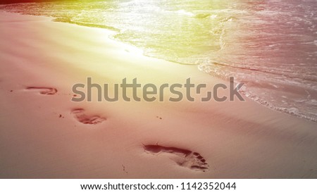 footprints in the sand overlooking the sea. footprints in the sand on the beach