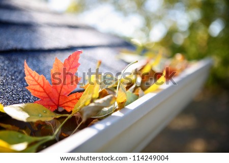 Rain gutter full of autumn leaves Royalty-Free Stock Photo #114249004