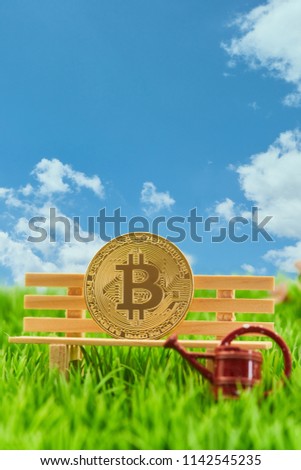 Golden Bitcoin coin on a bench with watering can in front of a blue sky
