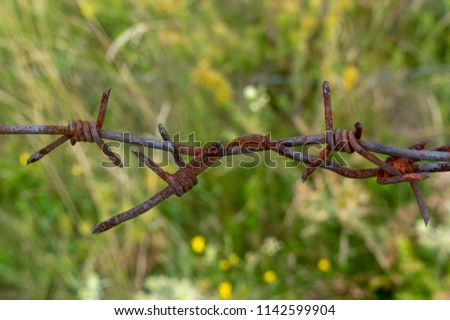 close-up. old barbed wire on a background of green grass