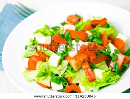 fresh vegetable salad with cheese
