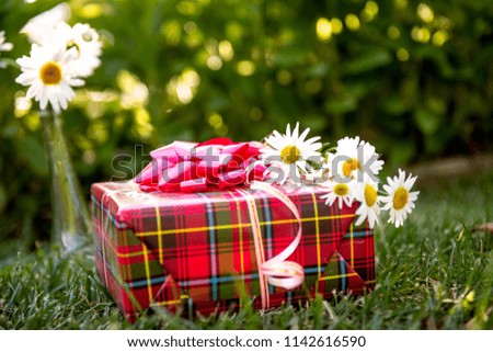 gift and  bunch of chamomiles. Summer gift, summer holiday, birthday party in the park. daisies and gift box. Birthday present