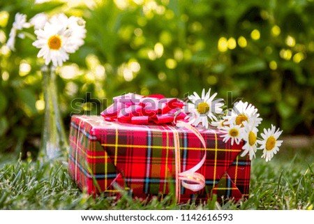 gift and  bunch of chamomiles. Summer gift, summer holiday, birthday party in the park. daisies and gift box