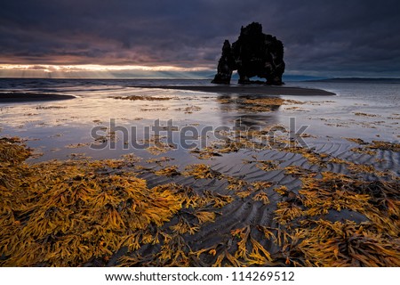 Hvitserkur, an animal shaped petrified lava-rock formation in the north of Iceland (Island), pictured on one glorious summer sunrise
