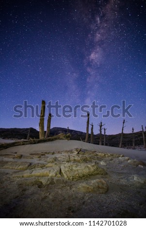 Wide angle image of the blazing milkyway over an old dead tree