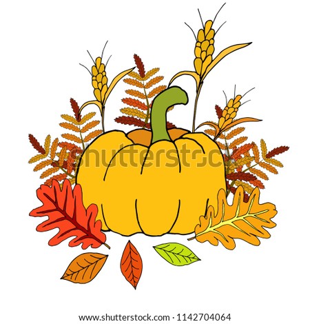 Vector illustration of autumn leaves of pumpkin
