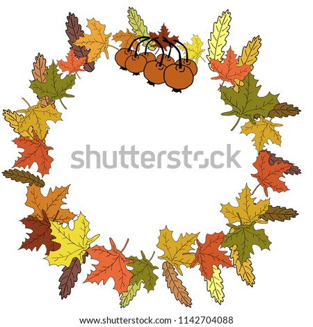 Vector round wreath of autumn leaves and berries
