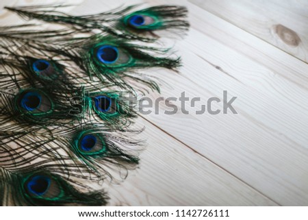Peacock feather and White wood texture