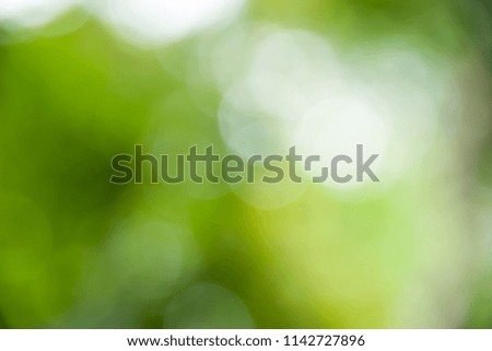 abstract  Green Background
