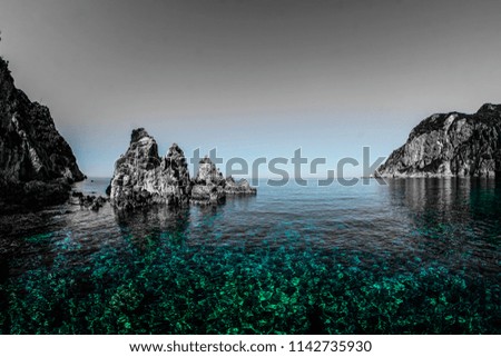 Beautiful sea scenery, black and white, green