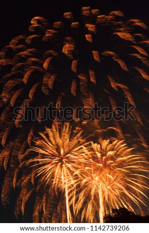 Fireworks Display at a Local USA Independence Day Celebration