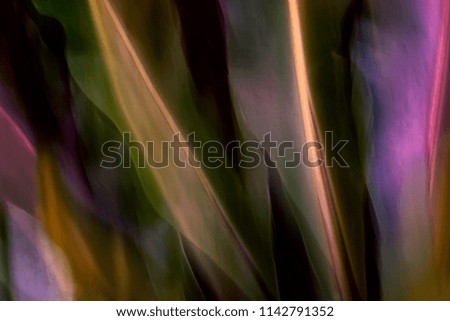 Abstract Impressionist photo of decorative plant